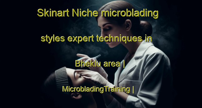 Skinart Niche microblading styles expert techniques in Bheklu area | MicrobladingTraining | MicrobladingClasses | SkinartTraining-India